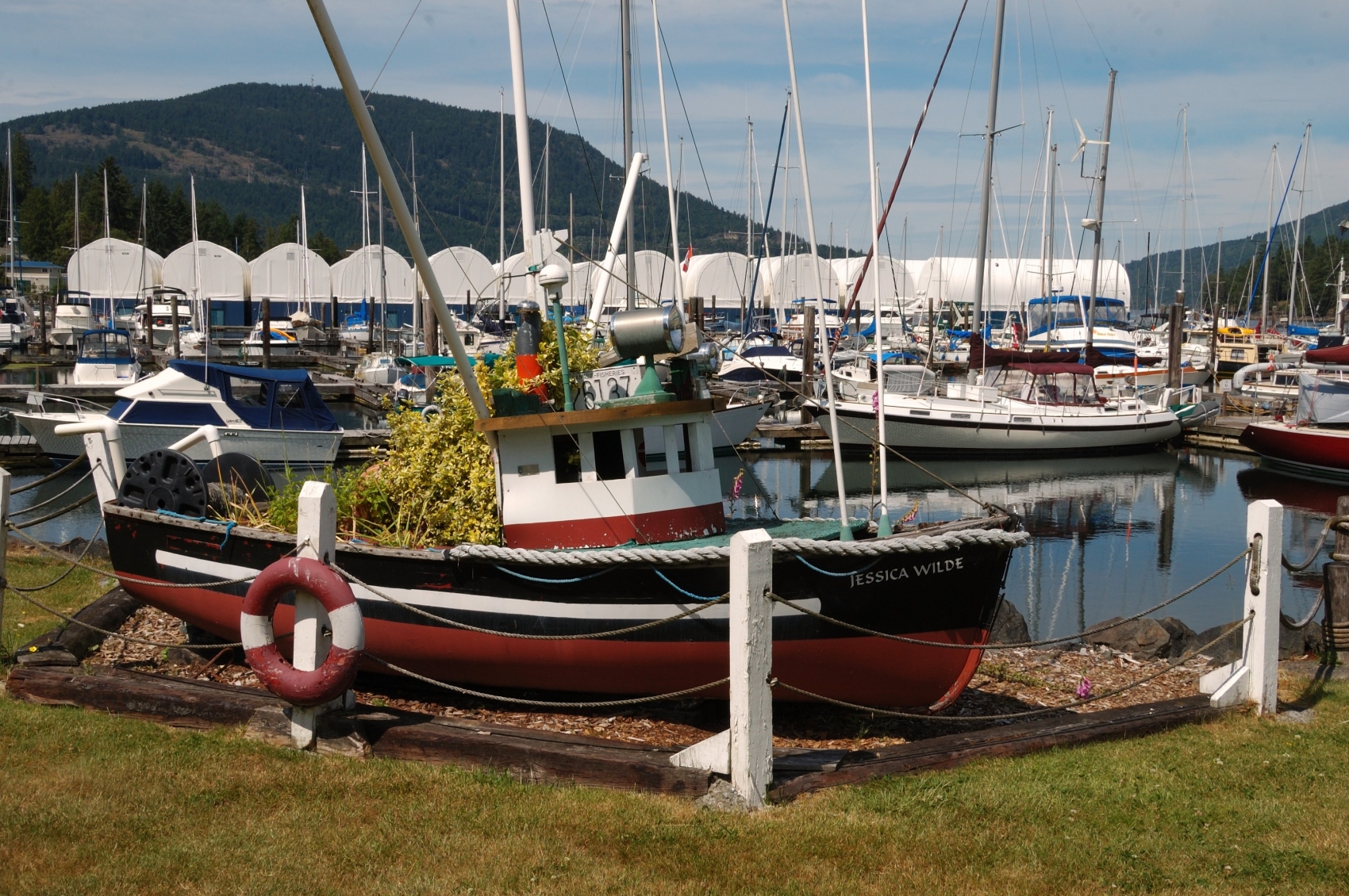 Maple Bay Marina – A Safe-haven for Boaters Since 1945 - Freedom Marine 