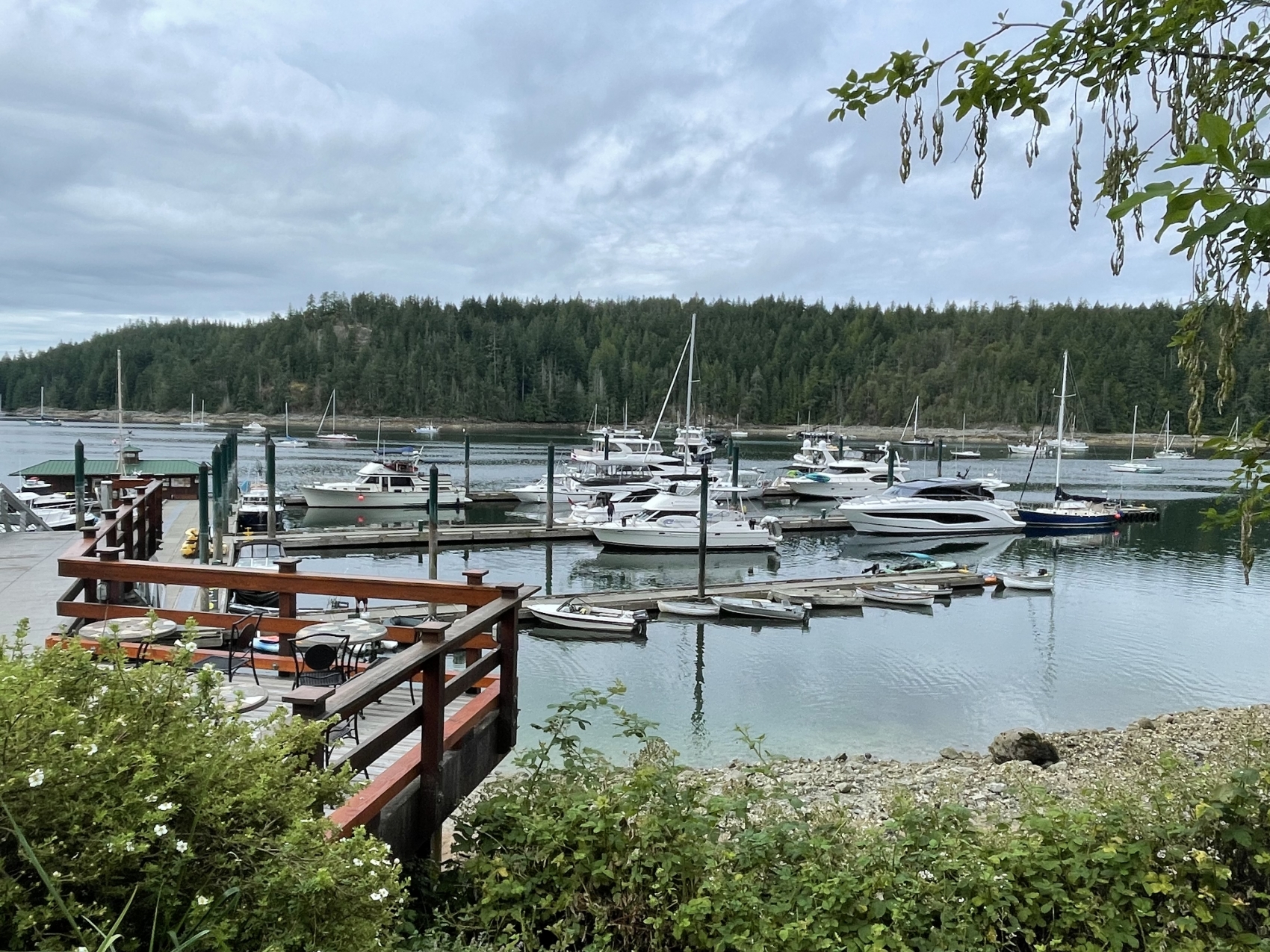 Desolation Sound Curated Adventure’s Page Freedom Marine