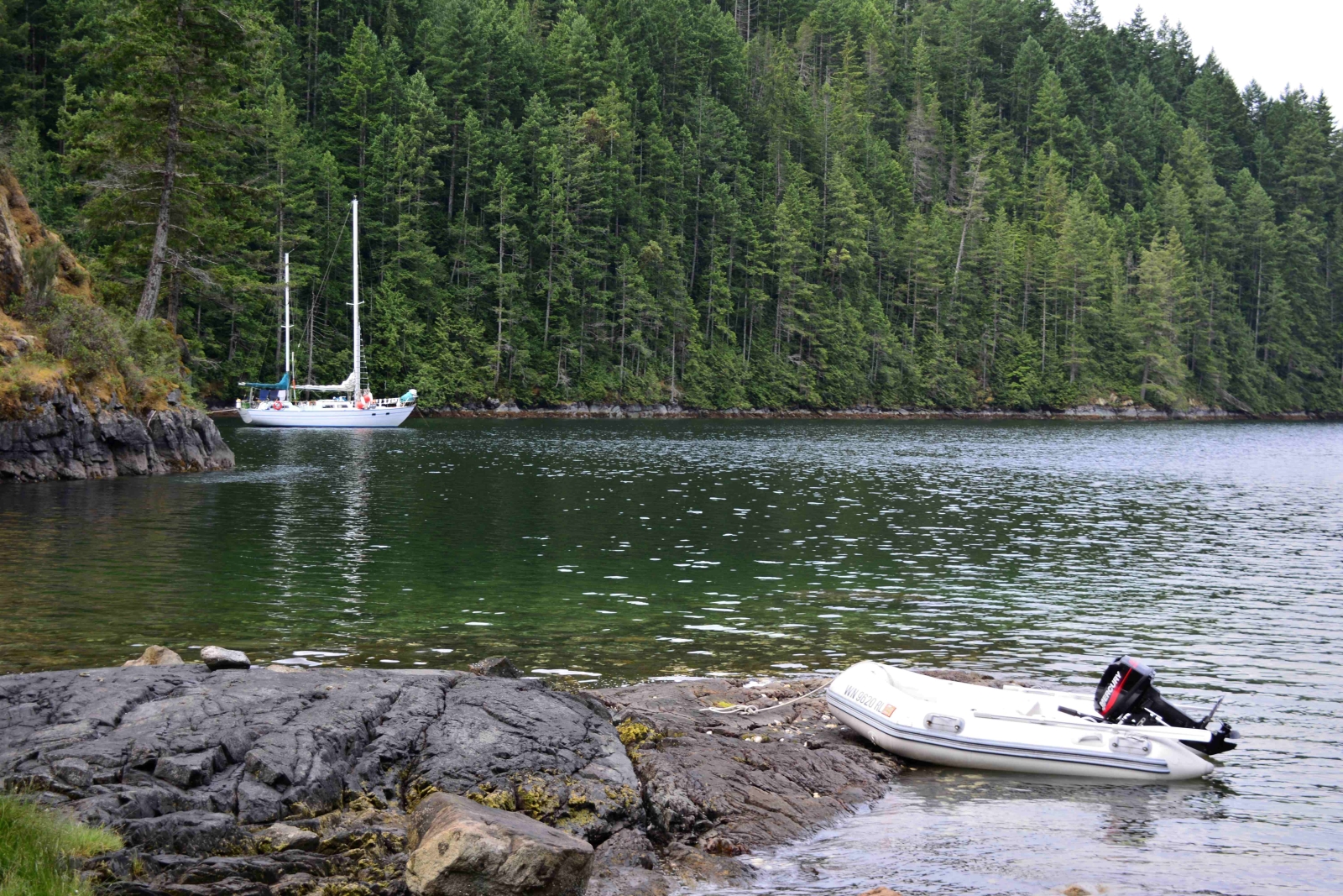 Tenedos Bay, Desolation Sound - Freedom Marine