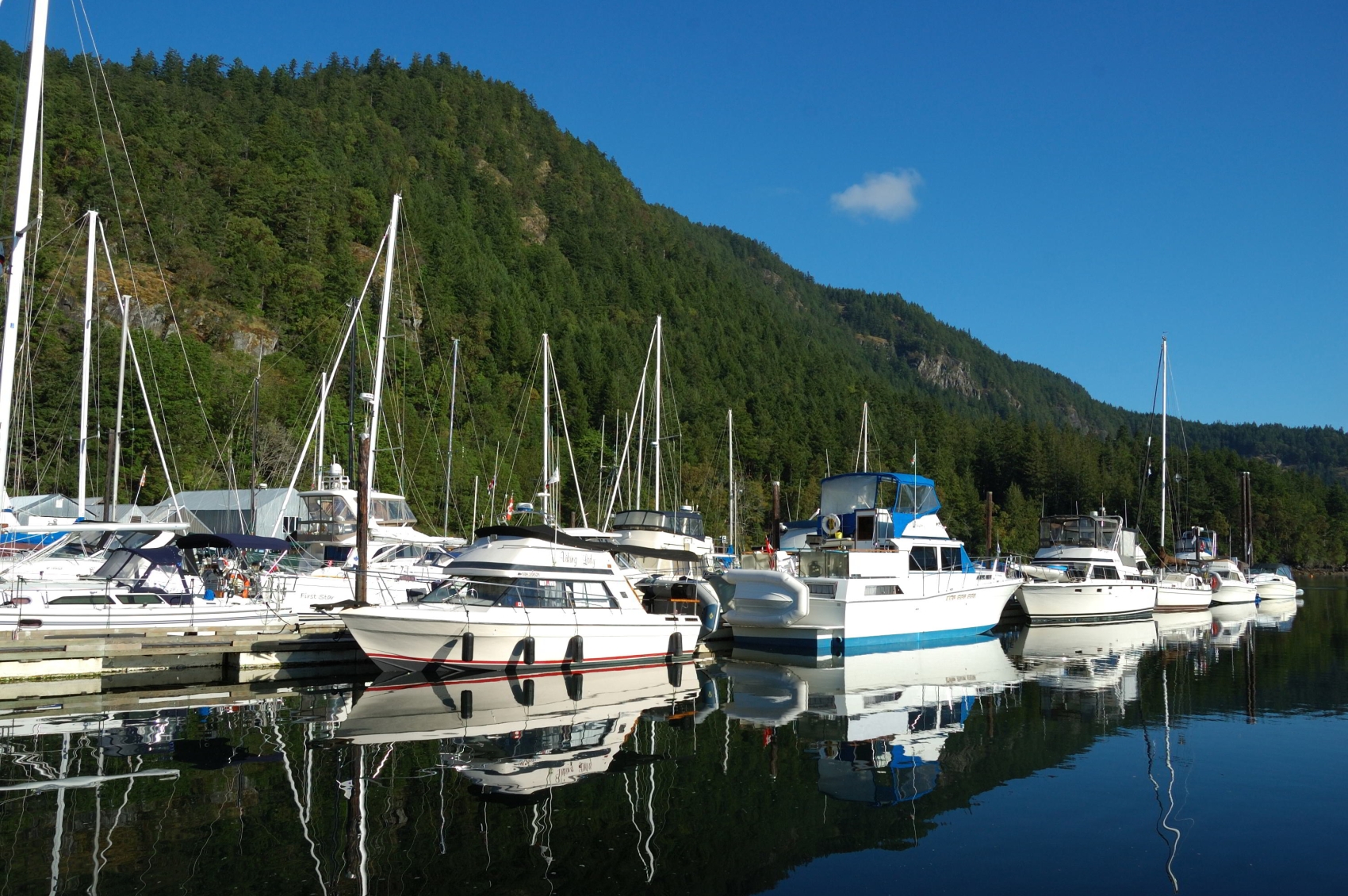 Genoa Bay Marina - Freedom Marine