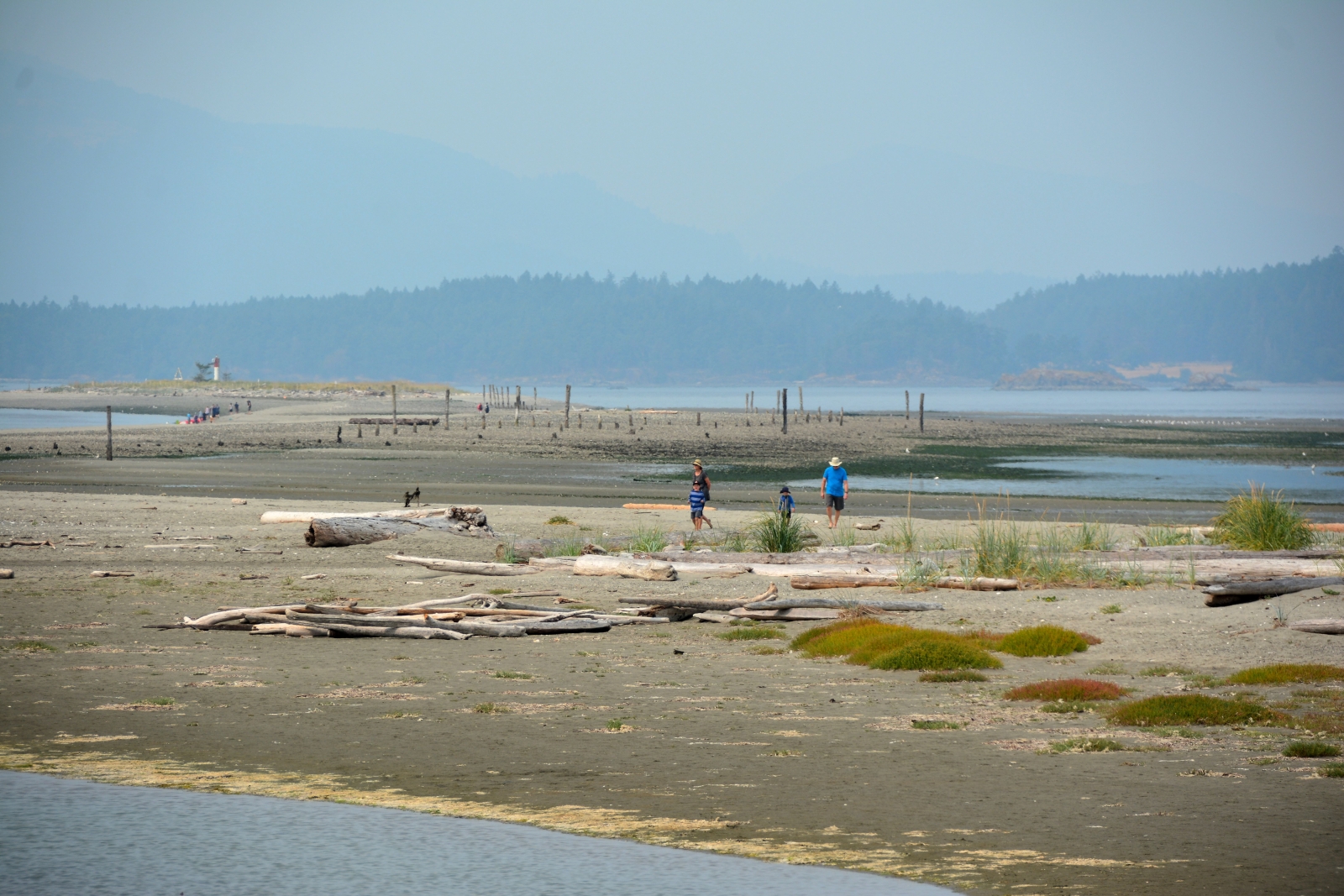 Sidney Spit Marine Park BC Freedom Marine