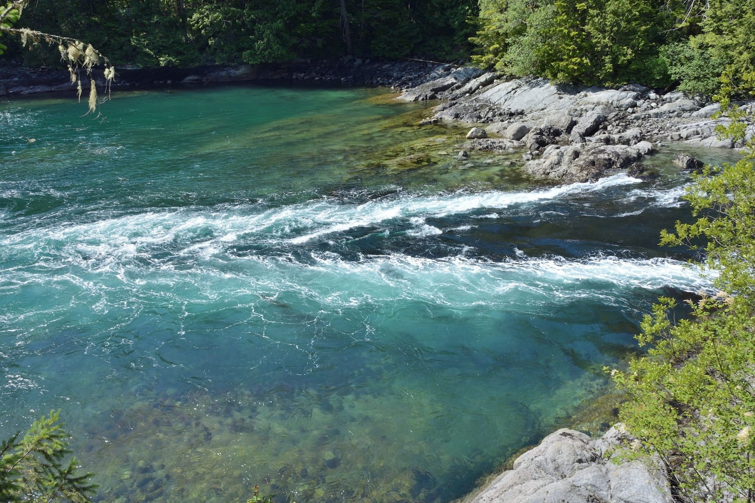 Tides, Currents, and Safety: Navigating BC’s Waters with Confidence