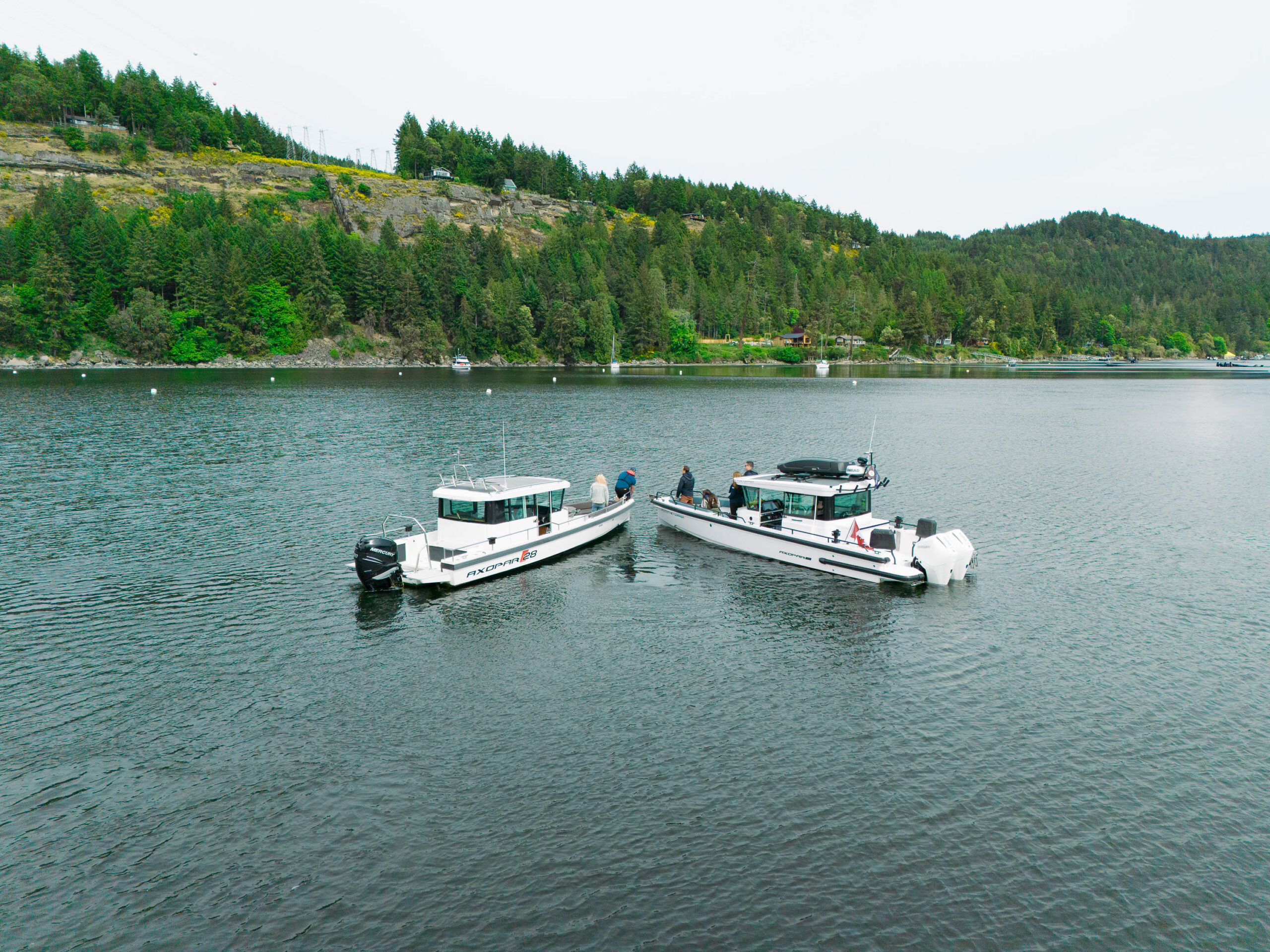 Family‑Friendly Boating Day Trips Around Vancouver Island