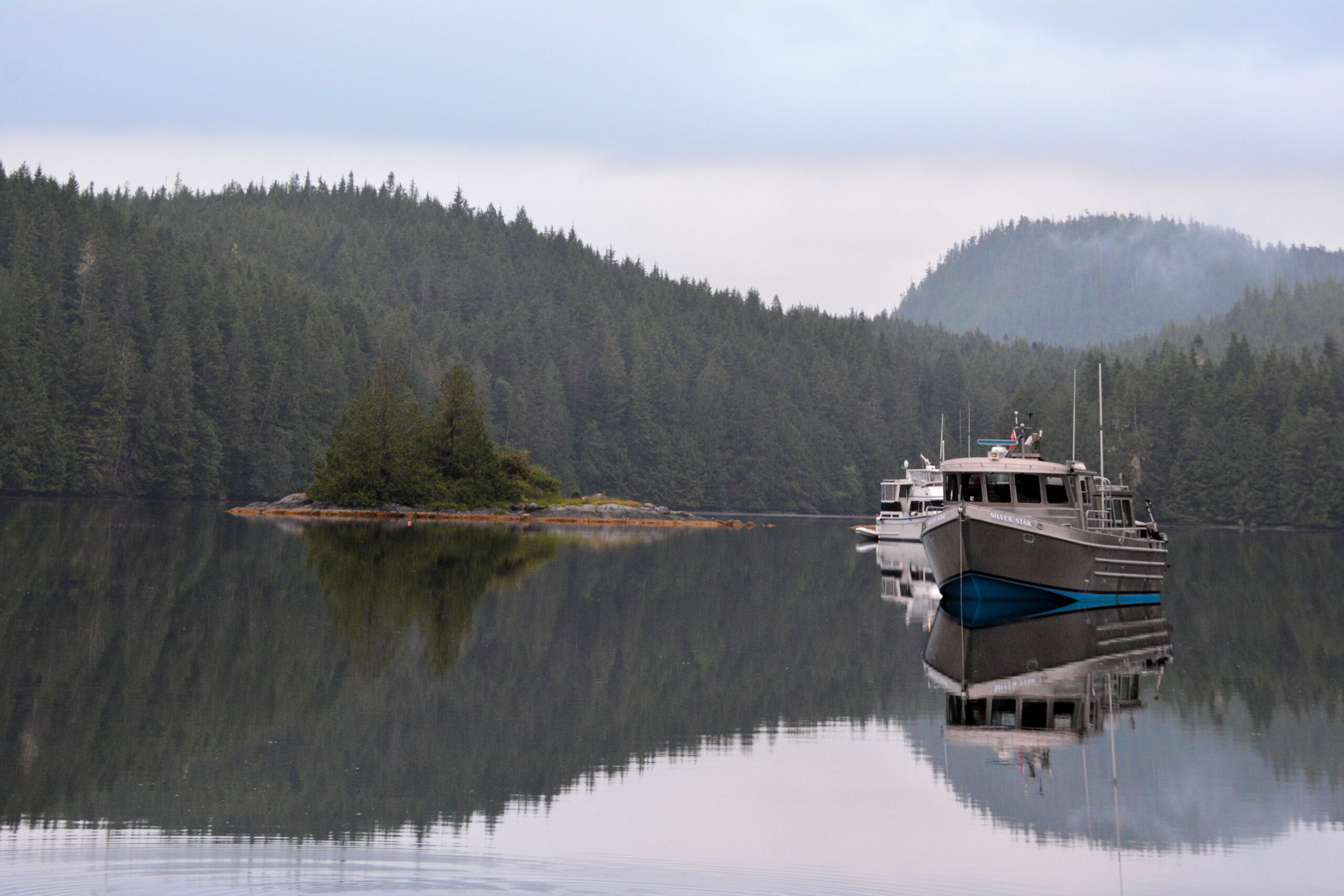 Exploring Clayton Bay, Grappler Sound